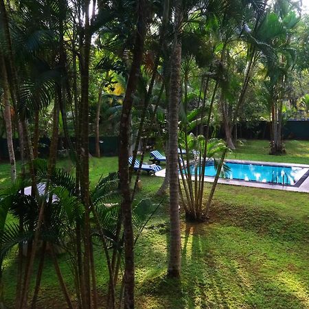 Chandra Villa Ayurveda Resort 本托塔 外观 照片