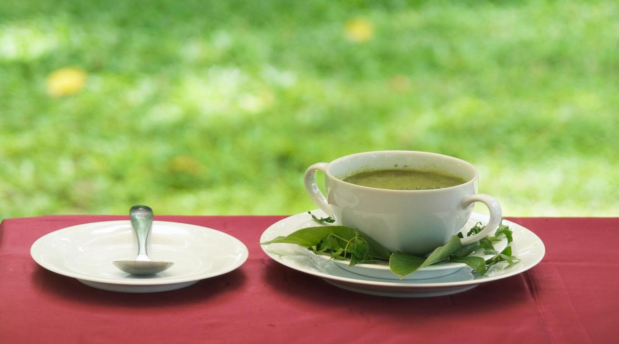 Chandra Villa Ayurveda Resort 本托塔 外观 照片
